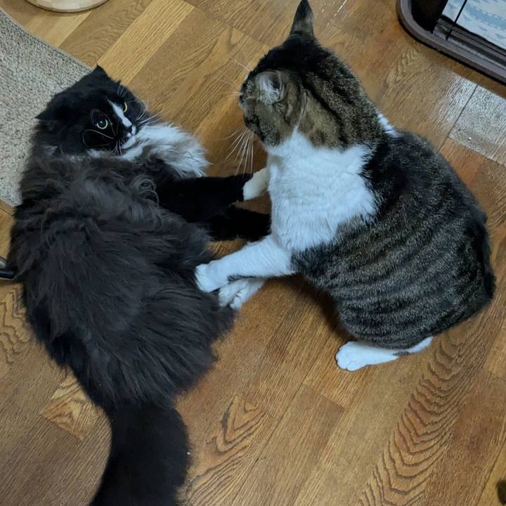 Fd7be4a8 2ce5 49b4 a241 ffacfffb4fe1 1733920484426