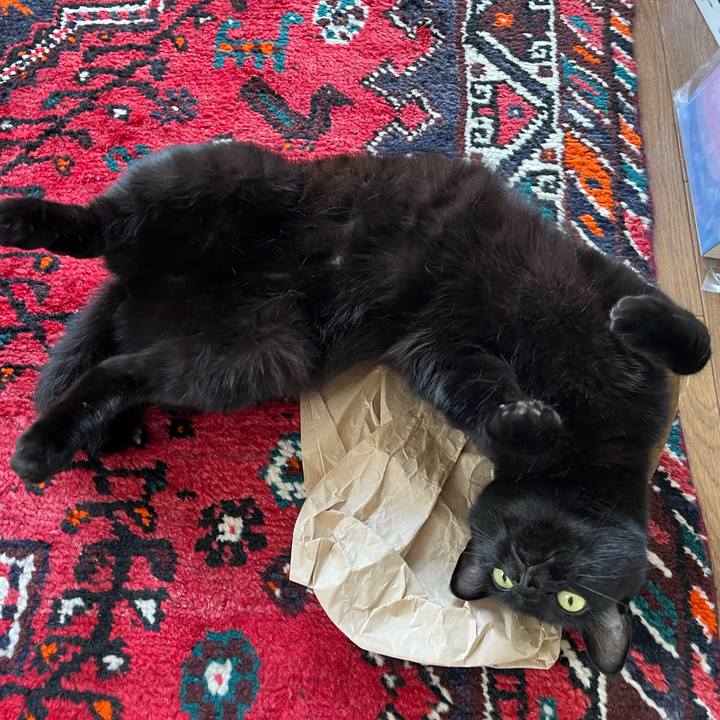 Fd7bf3ad 77a8 4569 b73c 52611bc0122c 1682739226006