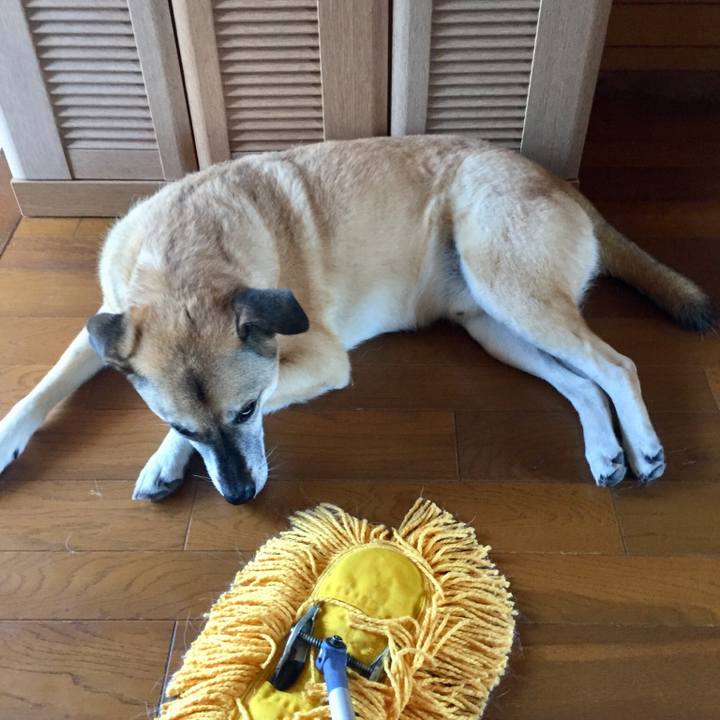 Fd7c07c7 4618 420b 9297 02a82363fc86 1533948901857