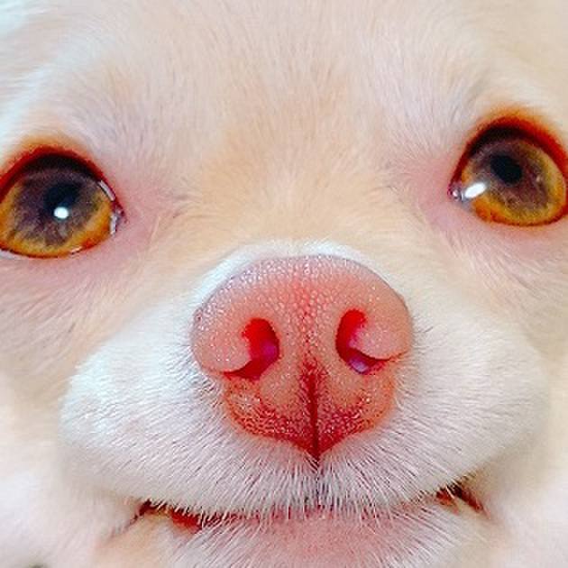 Fd7c4a7c 8ab2 4b29 ae83 0b8677f80002 1630129736101