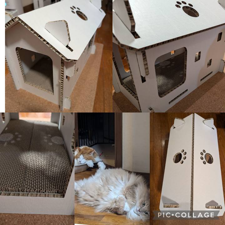 Fd7c5385 1b2d 4f45 bcb6 7e5bf8cda21d 1722419598606