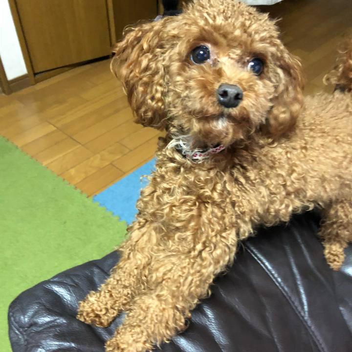 Fd7c688c 6f0e 493a 9407 eab452e40f8a 1516746958584