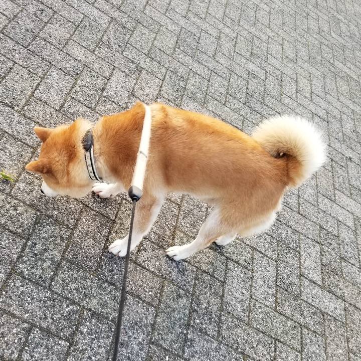 Fd7c79f0 451f 4bd6 a026 df3cdb51a806 1627807665323