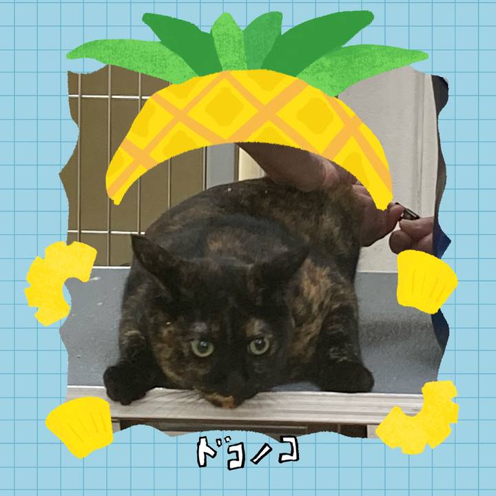 Fd7c9eb2 3a9d 4d39 8a85 a02869e16799 1784055966018