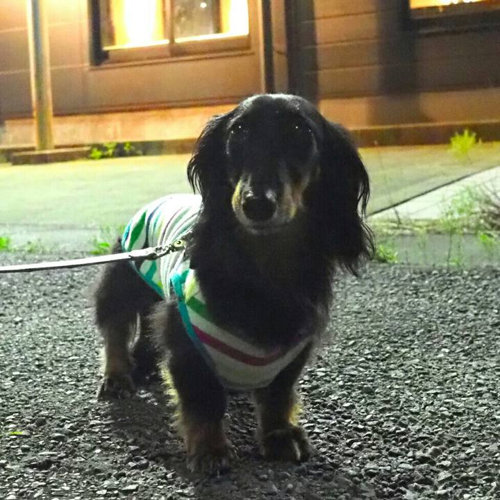 Fd7cd0d1 b76e 4711 97d8 c6042e8a7cc4 1596634177096