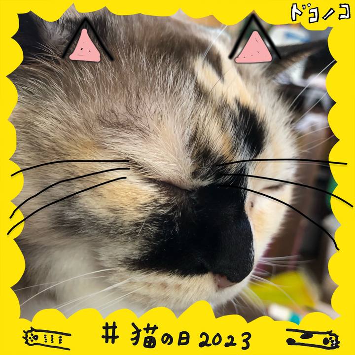 Fd7d0104 1bad 4ae7 9786 36f218436d4e 1677075803307