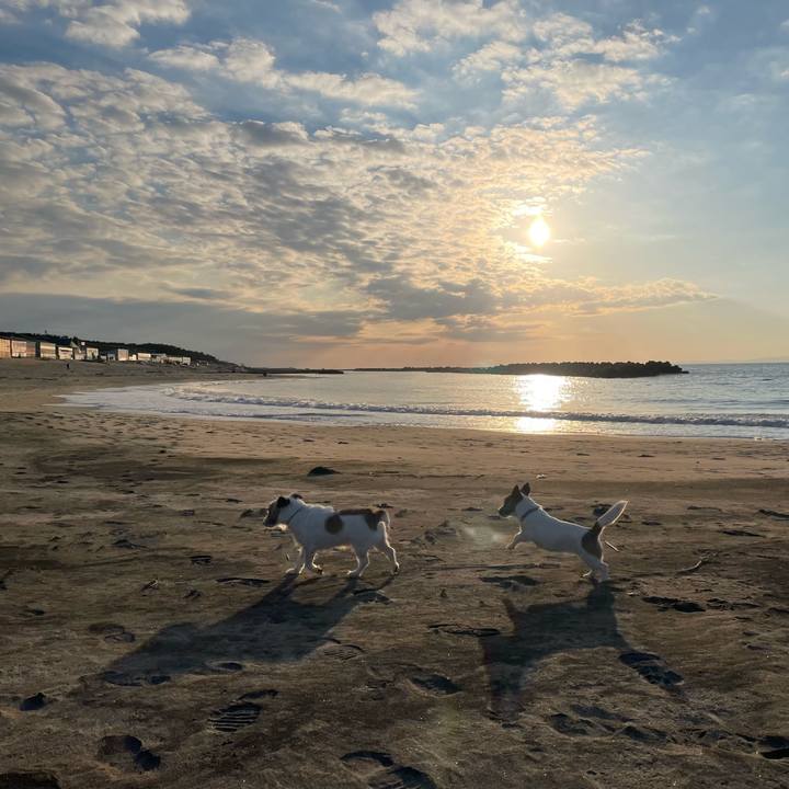 Fd7d0ce7 f10a 482d 83e6 03a8bfd757d9 1646210813967