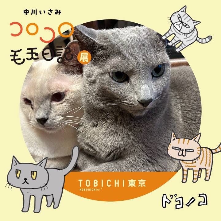 Fd7d1395 9083 47dd a702 63b06d518cbb 1740123933272