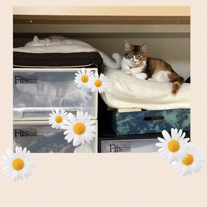 Fd7d189f 3f44 4074 9916 5731c83cd0d3 1656904374164