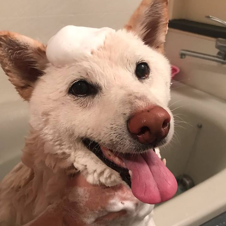 Fd7d21b5 fd4a 4a13 b728 4aac2b2502db 1561269667143