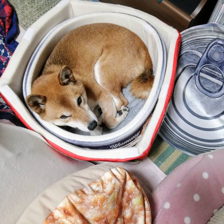 Fd7d3f2e beb0 4558 841a bfb130695c05 1606661945394