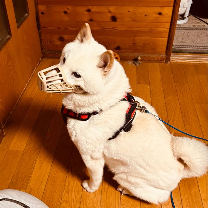 Fd7d61c9 6da6 4249 9f83 d79776c01ca4 1706919573944