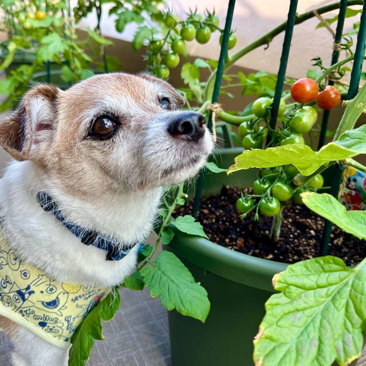 Fd7d63da d504 4ab2 bcb5 0014c9498aa4 1687653611950