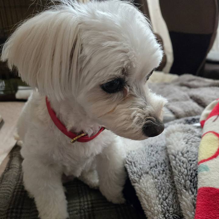 Fd7d6b49 a7c7 4bc0 b87a ee012b8ecafb 1776414368712