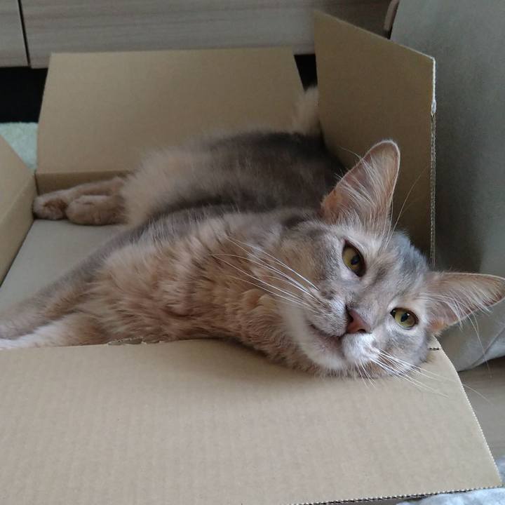 Fd7d8dc6 5850 40a3 bb33 39a7d2fcdbd3 1623246344964