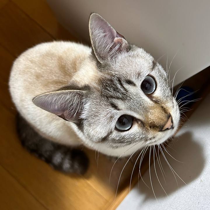 Fd7dc07e a7ca 401e 8180 7be2cb65a787 1745501911344