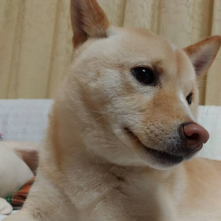 Fd7df5b2 d9bf 4c96 a677 e00ec72ef045 1519556041258