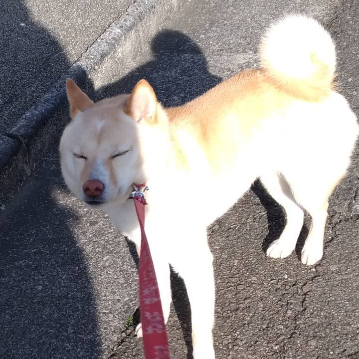 Fd7e0272 f4b8 4321 adc6 0ba48a3949ca 1550731873957