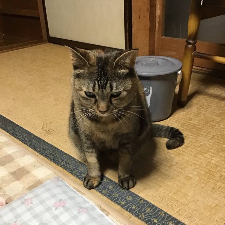 Fd7e0a5b 00d4 4639 82a1 486db53bc487 1698062090359