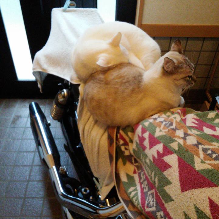 Fd7e25b1 68c1 42fb a7cd e010eff0e092 1511913338317