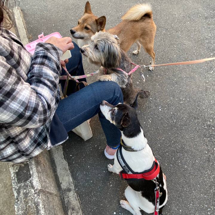 Fd7e460d 0a08 44ab 801c 0e6f919c5344 1573291283512