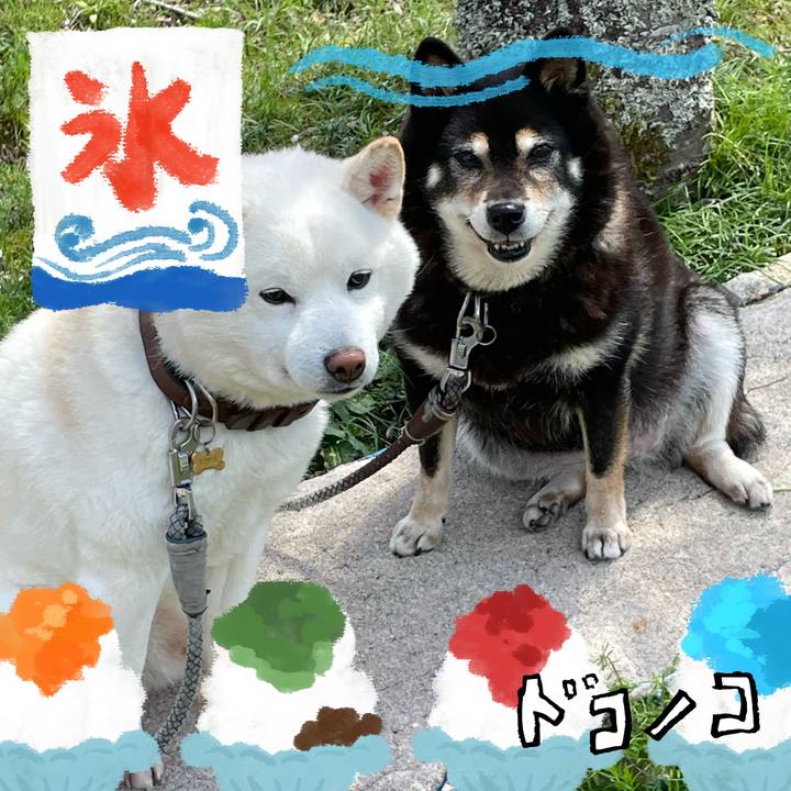 Fd7e4b08 2cc8 4495 9508 db01f12d9695 1723397215310