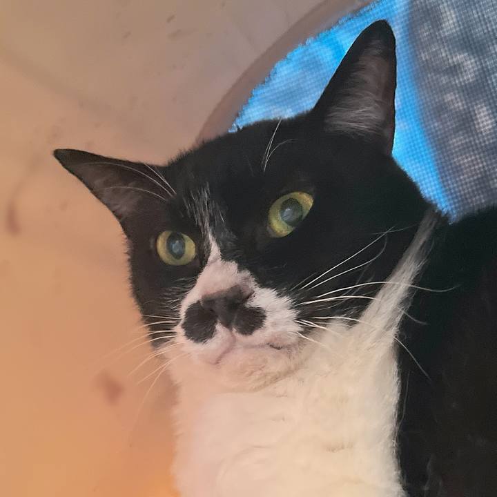 Fd7e5481 5a34 4e3d 9a7c 32f478357499 1685256294455