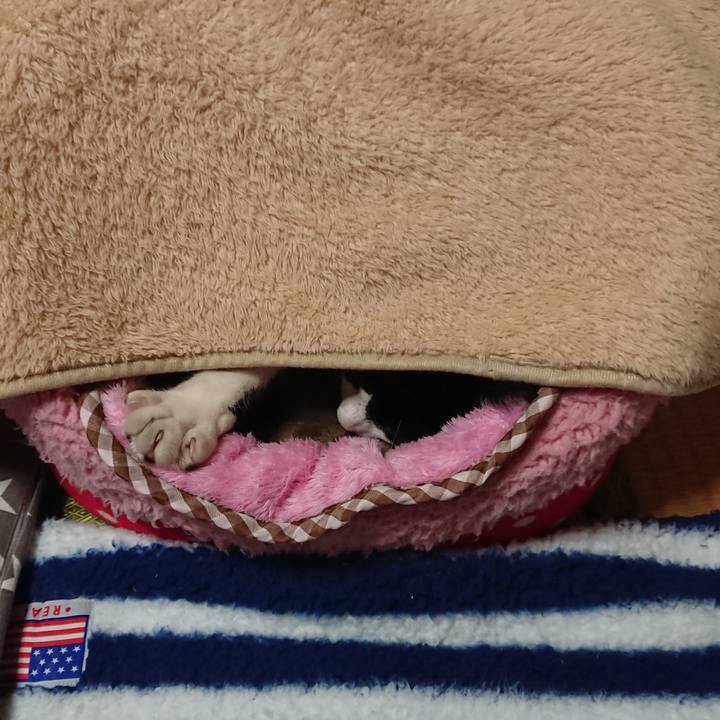 Fd7e6d11 b842 49a9 b4fd 58267fb7c551 1545177561616