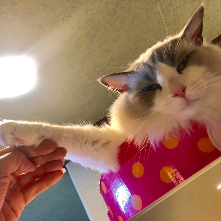 Fd7e72c2 92f3 4749 a758 af936685524a 1576206561113