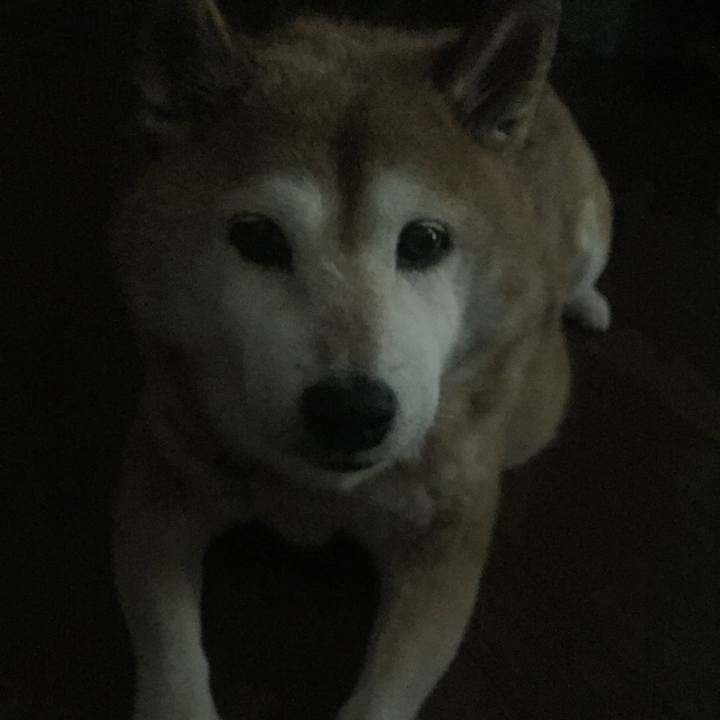 Fd7e7de8 a62f 442c 8aa5 072edd97213e 1563155885536