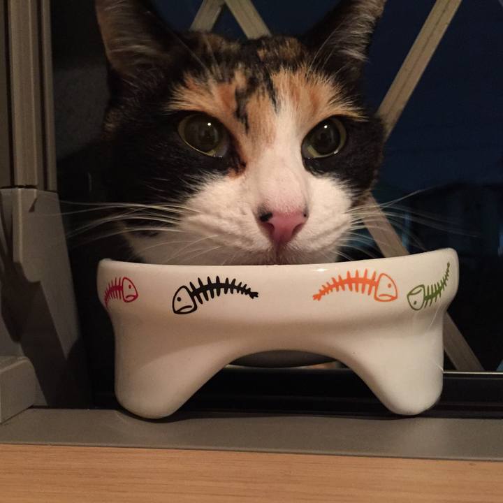 Fd7e991b 571f 4af3 b979 693e1c2e1806 1514197178156