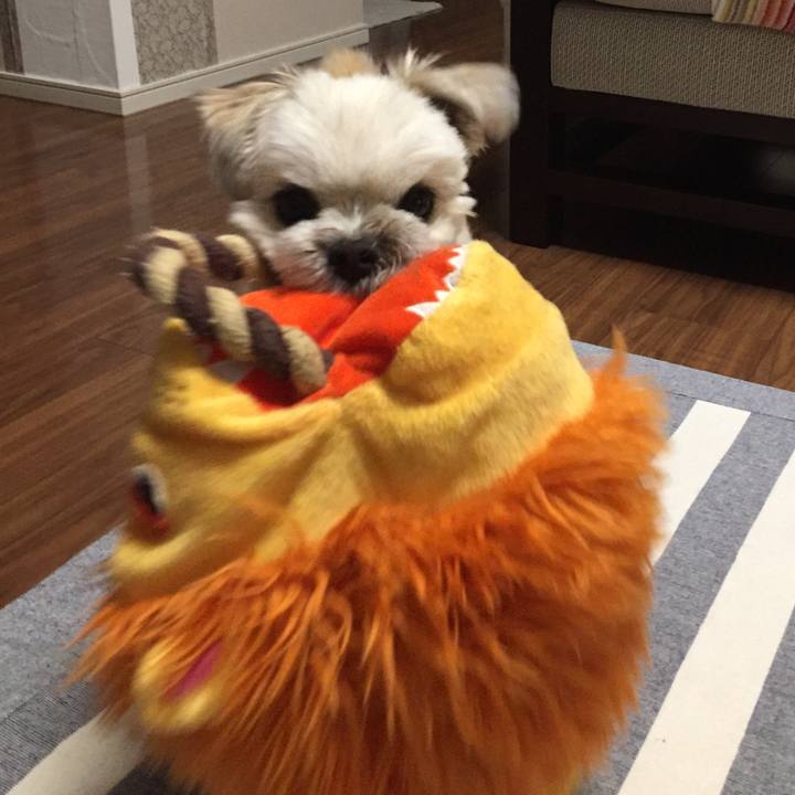 Fd7ea765 9887 4732 afe4 969f3de5d177 1563792545104