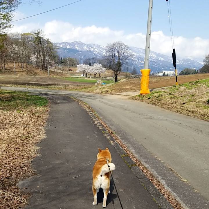 Fd7eaf2c 96b0 4f1b b10a 2e227c0da86c 1650338002834