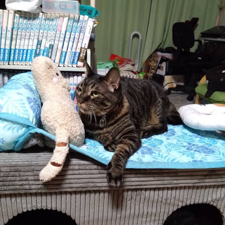 Fd7eb892 bbae 4786 b4a1 637988323d91 1758889398277