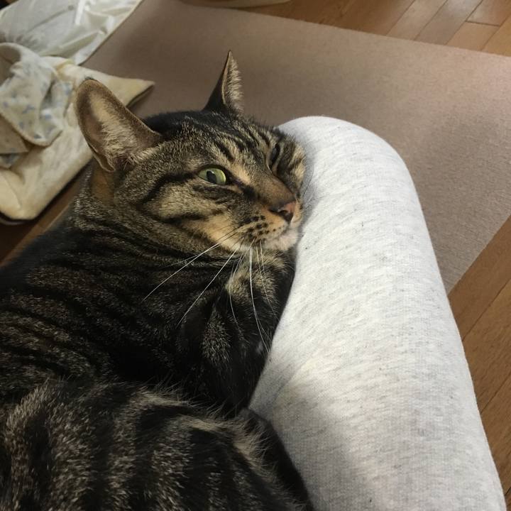 Fd7ebb92 2bb1 45d1 bb5b d8749248d10e 1541591063527