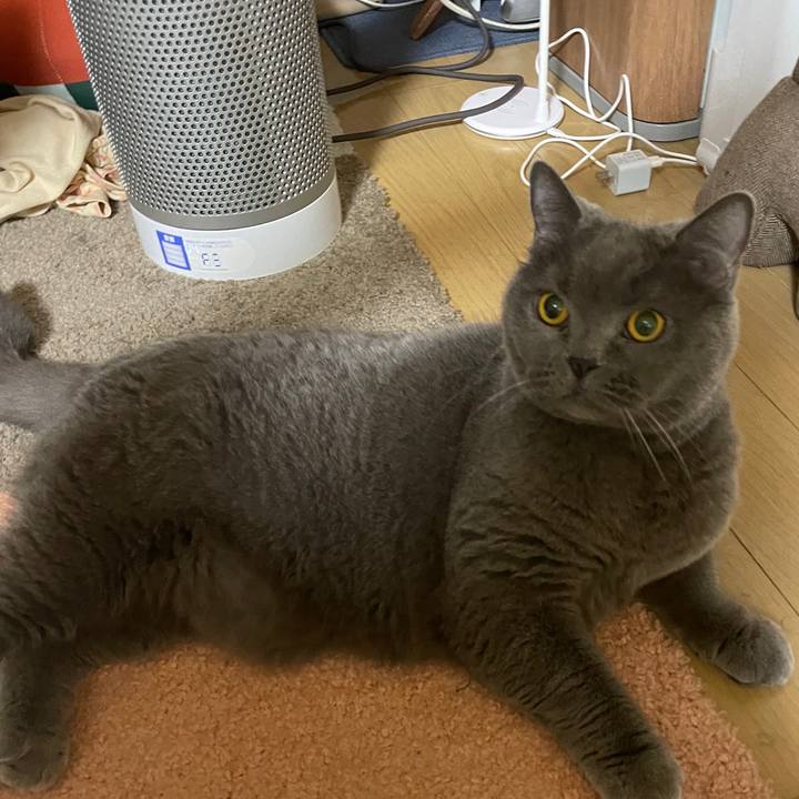 Fd7ef0a6 2d73 4098 ac36 88e645c0a762 1773476928998