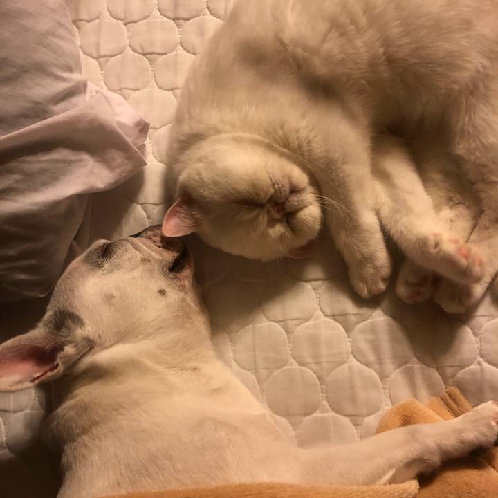 Fd7ef60c 2359 4200 9bc7 e5d19bba2fa0 1600955236646