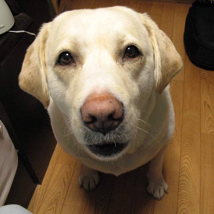 Fd7efb79 c650 4cdf 8528 99dcf3f4be95 1540465785828