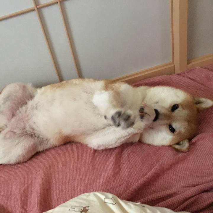 Fd7f0673 0afd 4404 a311 8dc6499b1c69 1540170859287