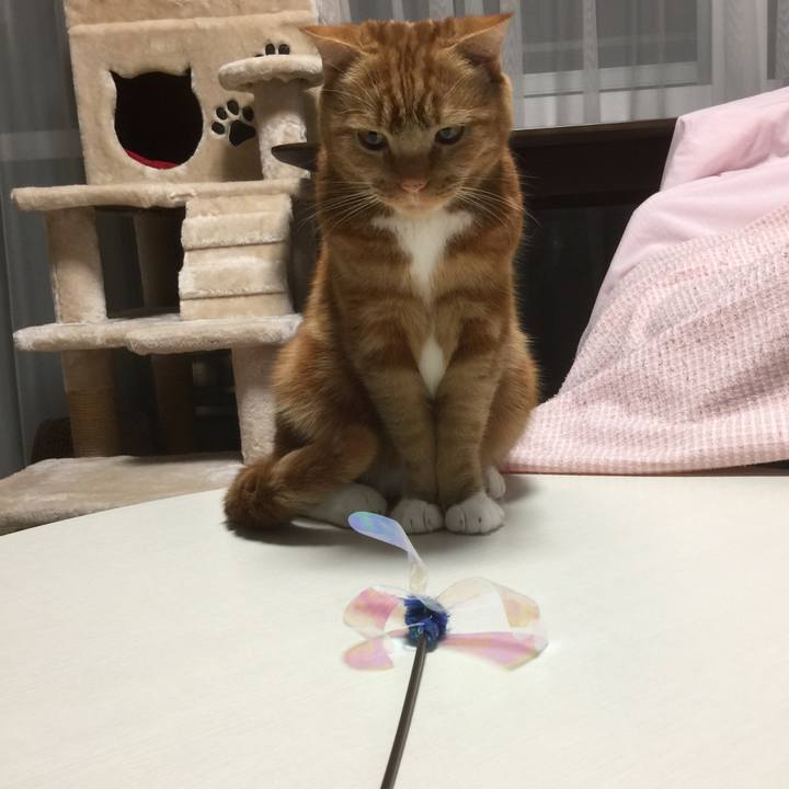 Fd7f188c ef95 4aab 8563 9b9c22d324c2 1581775481480