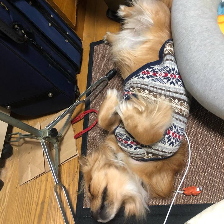 Fd7f67bc cebc 4108 9489 be420eca2a83 1547456539170