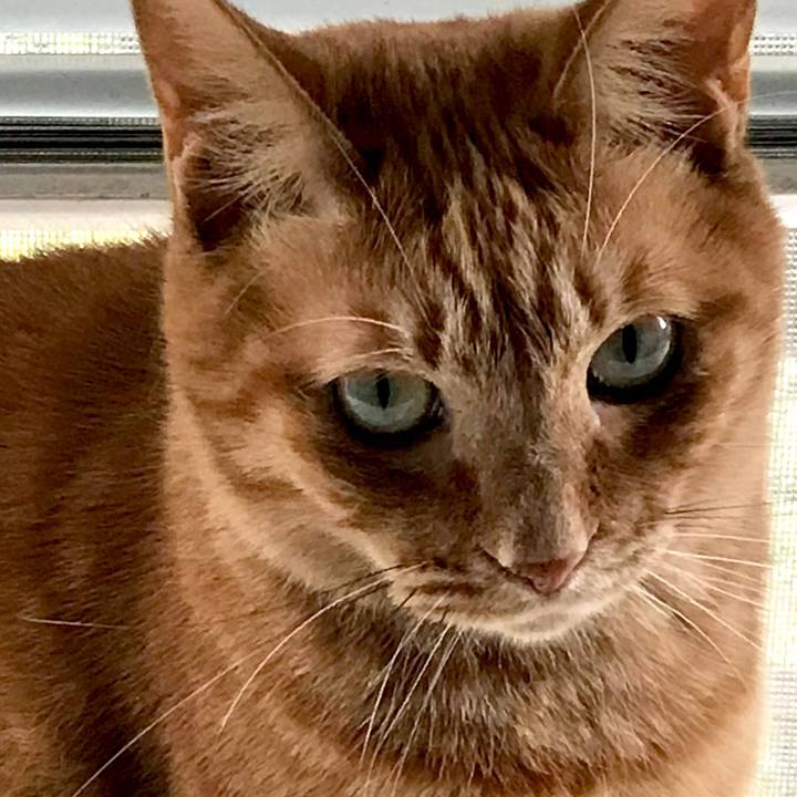 Fd7f6d54 0125 4329 ae73 9348edca8664 1574829088665