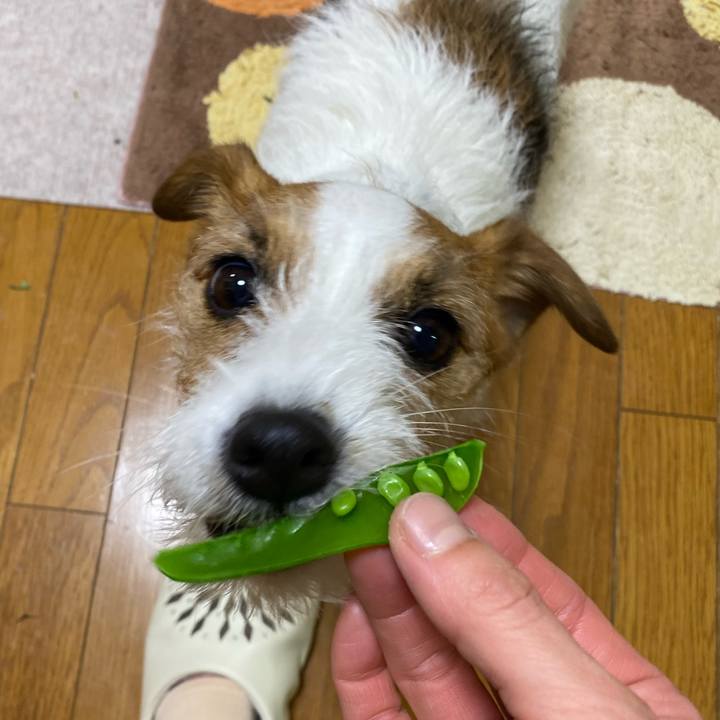 Fd7fb30c 1271 4e6b 9b59 ac8123a0263c 1739101538070