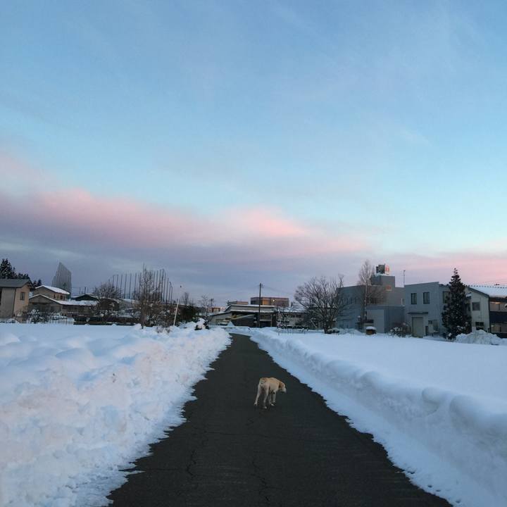 Fd7fd426 3e50 4a06 8d37 dfa164763296 1515971922098