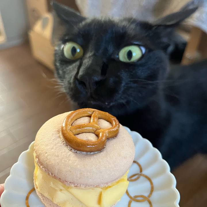 Fd7fe99d ca67 464e 8540 6328f83bcfc5 1691984321856