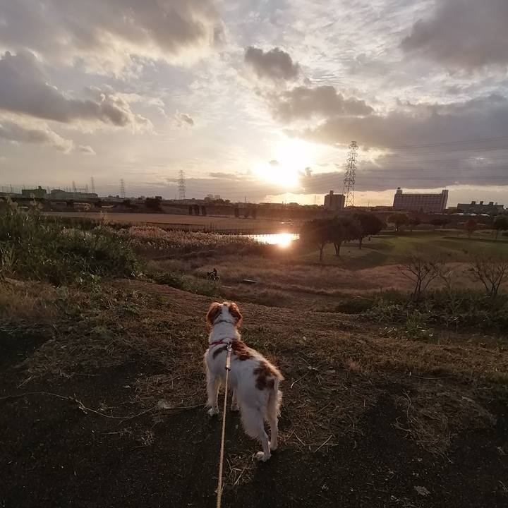 Fd80c5e3 4774 406b bb94 75c7b95506be 1574941755412