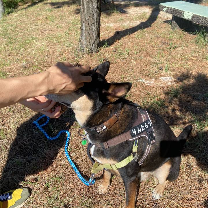 Fd80cf7c 7e35 4348 91e4 aa5b4ef28c7c 1727397966172