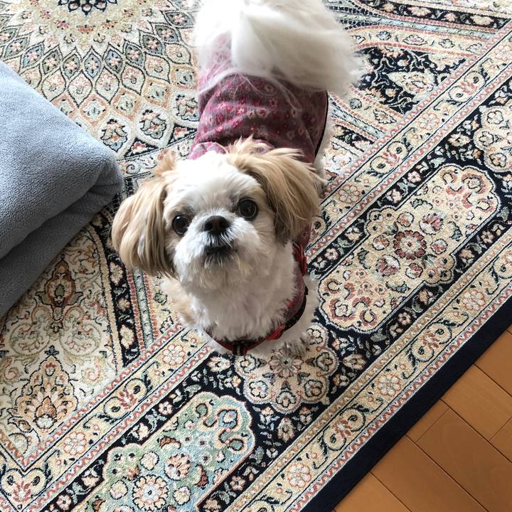 Fd8108ce 231a 40b1 ac1a 488868bab1b9 1555623987360