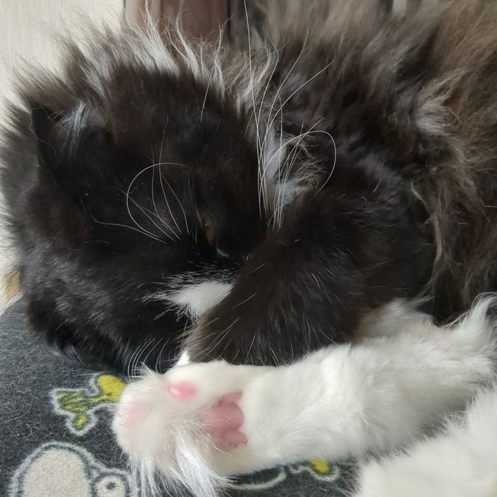 Fd811356 8428 4179 8151 09b575920d03 1681879880286