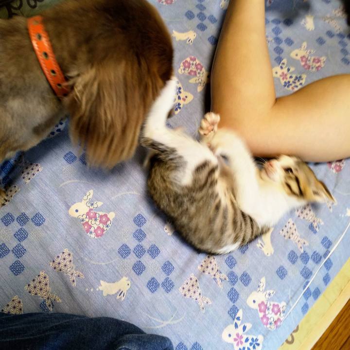 Fd819911 0230 4b6e af56 732a49459192 1567901980469